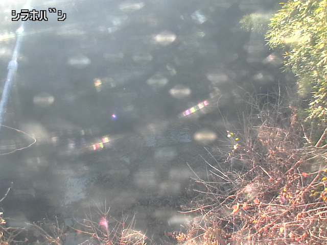 2025年12月16日14時00分の映像