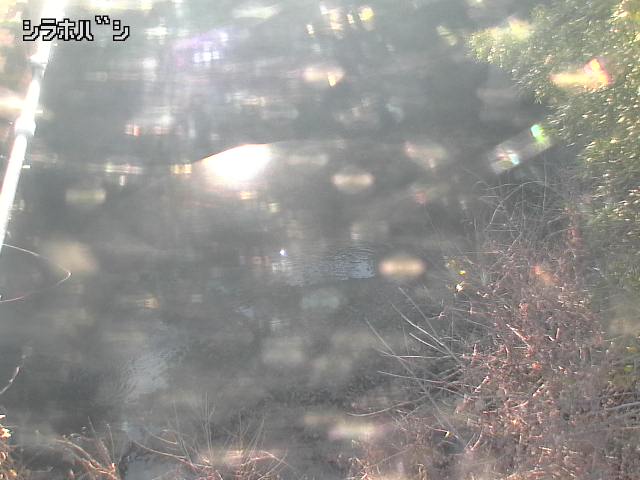 2025年12月16日15時00分の映像