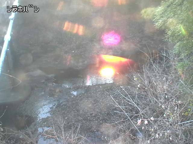 2025年12月16日16時00分の映像