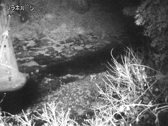 2025年12月16日18時00分の映像