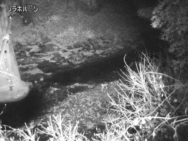 2025年12月16日19時00分の映像