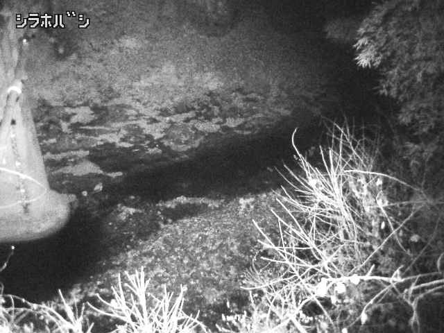 2025年12月16日21時00分の映像