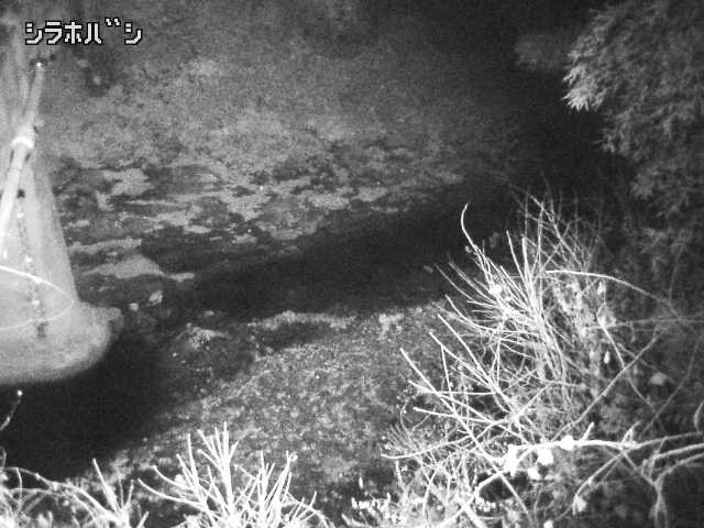 2025年12月17日01時00分の映像