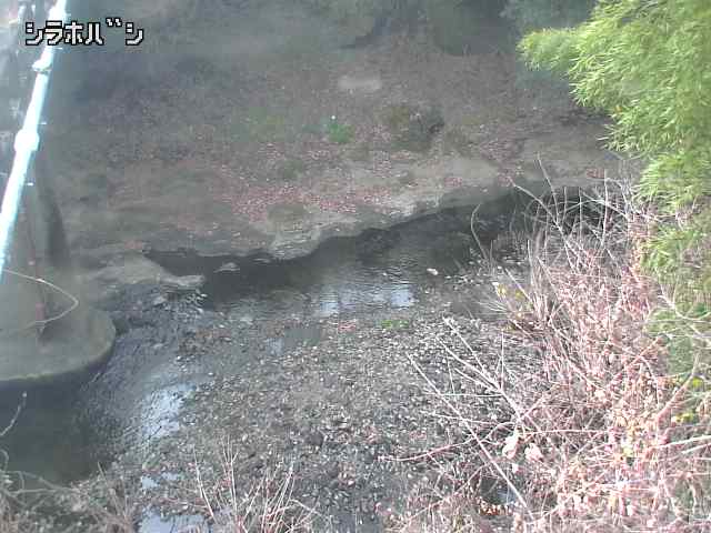 2025年12月20日11時00分の映像