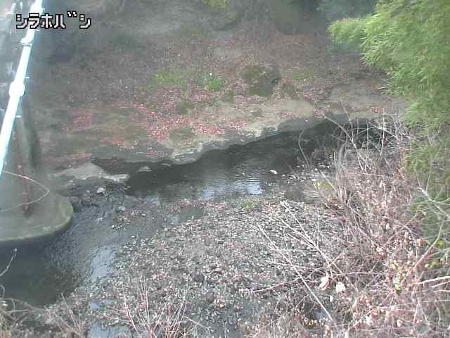 2025年12月20日12時00分の映像