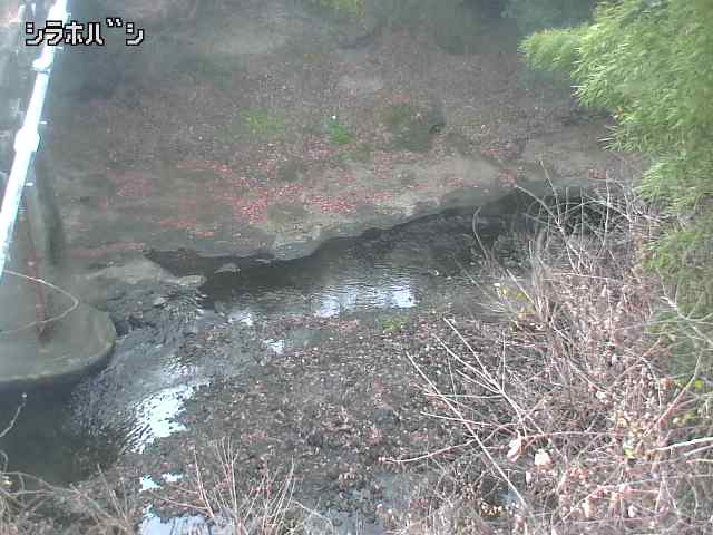 2025年12月20日13時00分の映像