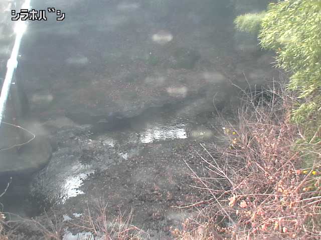 2025年12月20日14時00分の映像