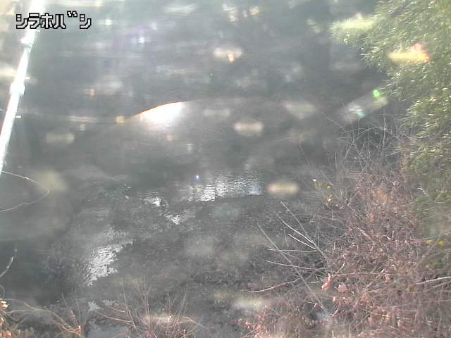 2025年12月20日15時00分の映像