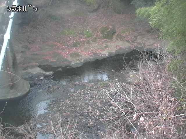 2025年12月20日16時00分の映像