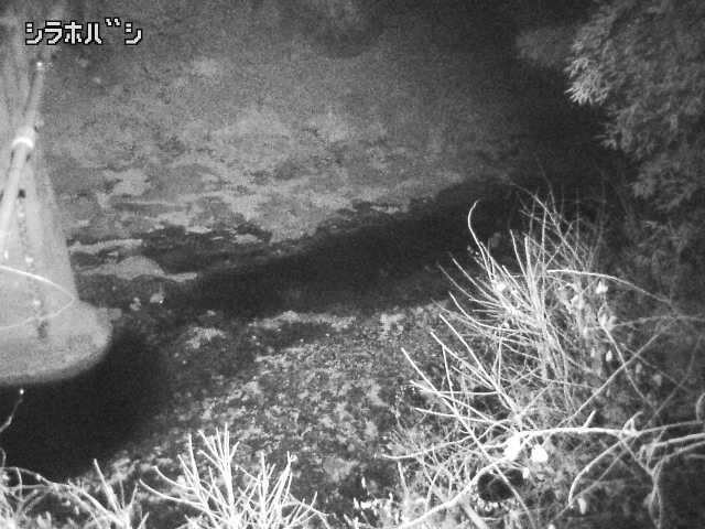 2025年12月20日17時00分の映像