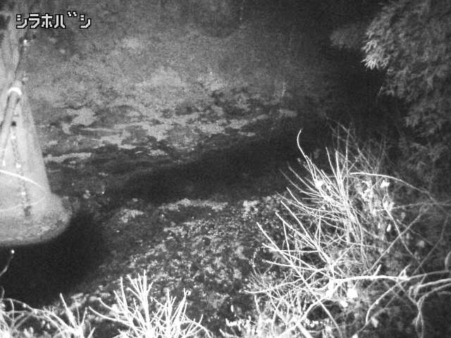 2025年12月20日21時00分の映像