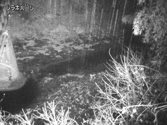 2025年12月20日23時00分の映像