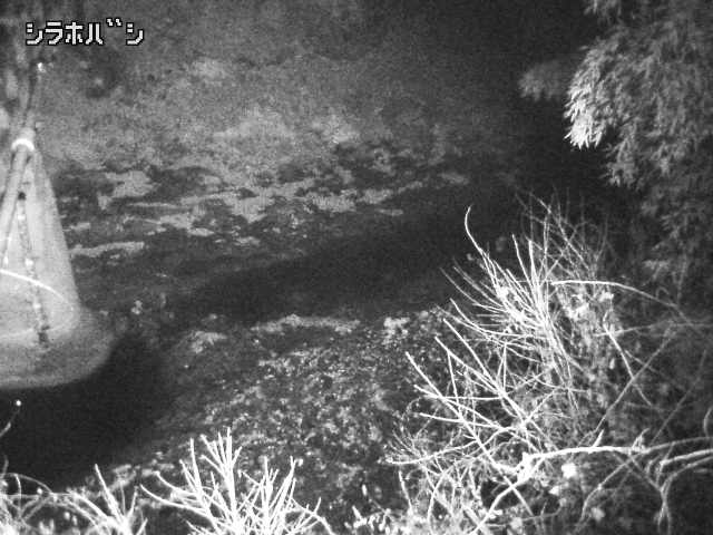 2025年12月21日00時00分の映像