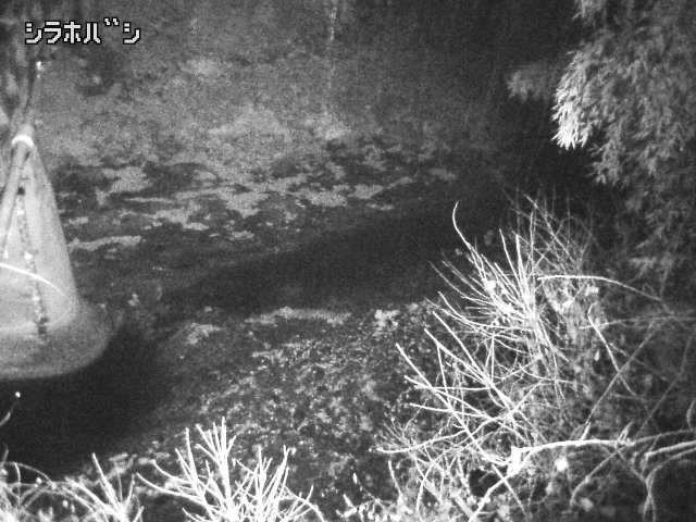 2025年12月21日01時00分の映像