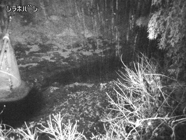 2025年12月21日02時00分の映像