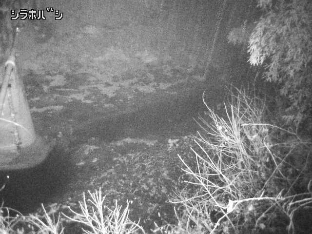 2025年12月21日03時00分の映像