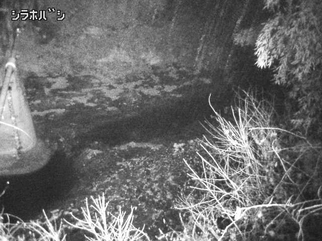 2025年12月21日04時00分の映像