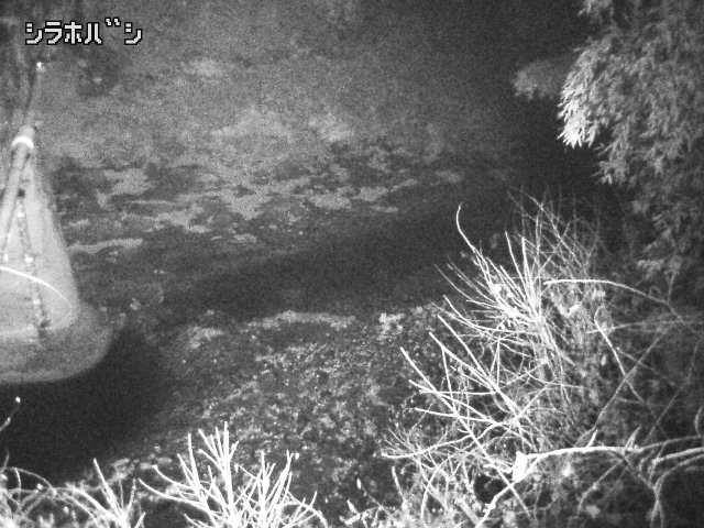 2025年12月21日05時00分の映像