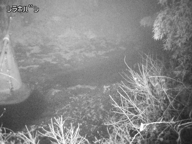 2025年12月21日06時00分の映像