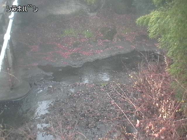 2025年12月21日07時00分の映像