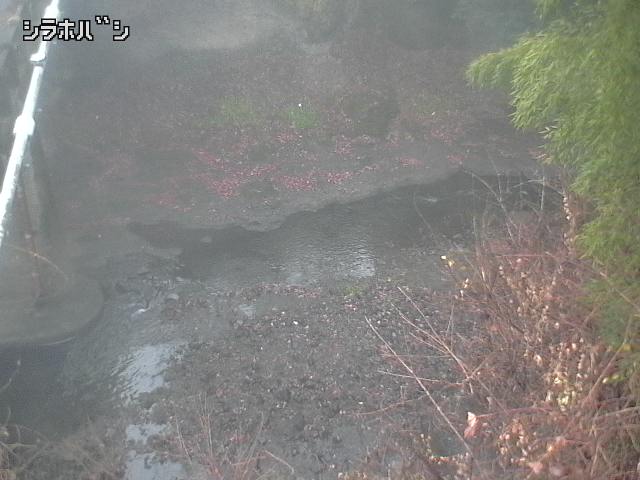 2025年12月21日08時00分の映像