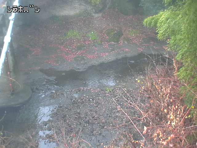 2025年12月21日09時00分の映像