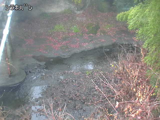 2025年12月21日10時00分の映像