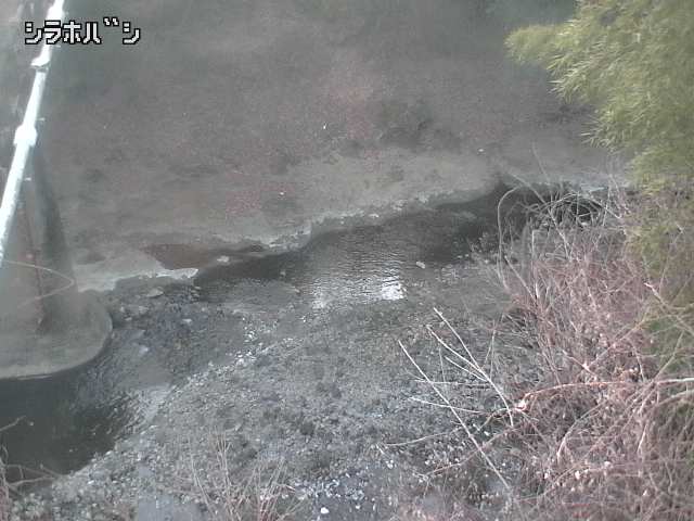 2026年02月03日17時00分の映像