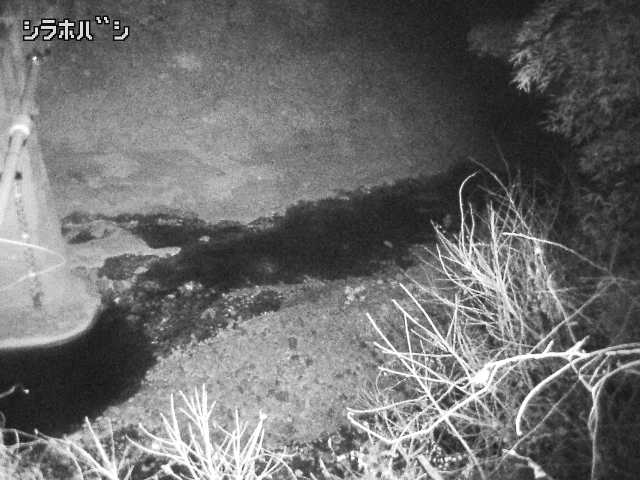 2026年02月03日18時00分の映像