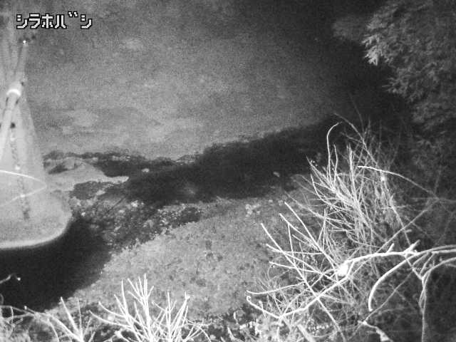 2026年02月03日19時00分の映像