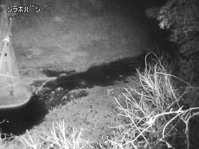 2026年02月04日05時00分の映像