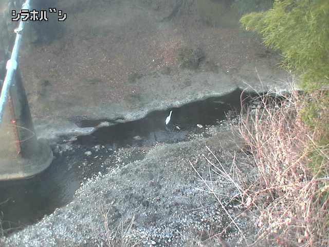 2026年02月04日07時00分の映像