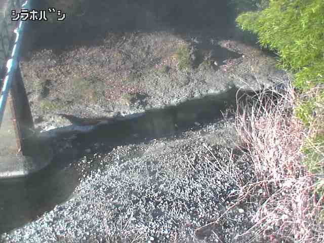 2026年02月04日08時00分の映像