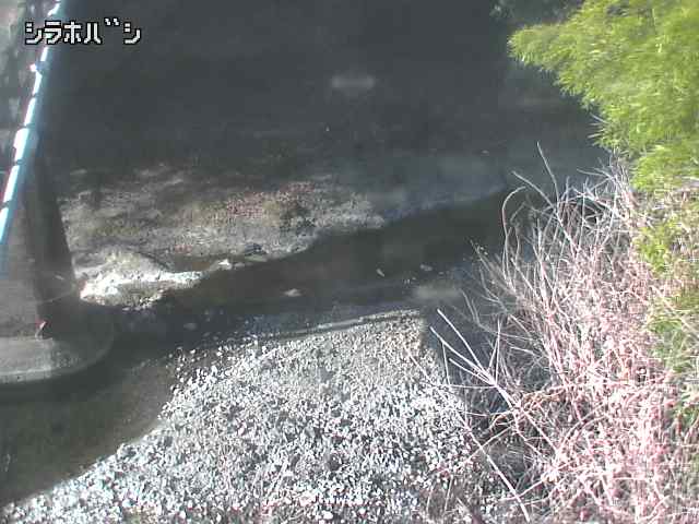 2026年02月04日09時00分の映像