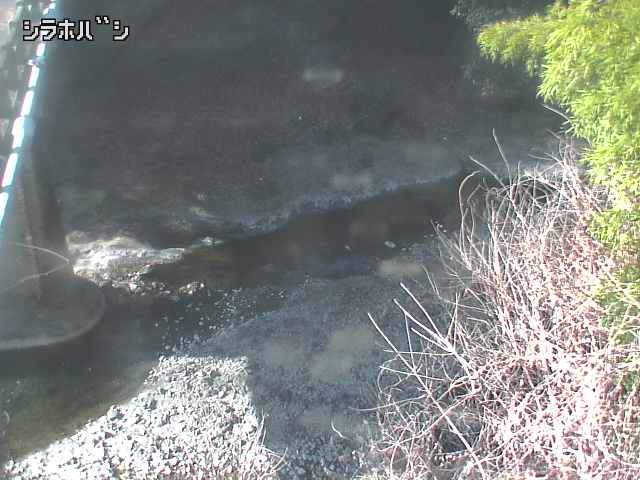 2026年02月04日10時00分の映像