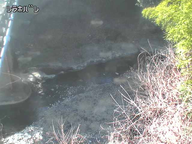 2026年02月04日11時00分の映像