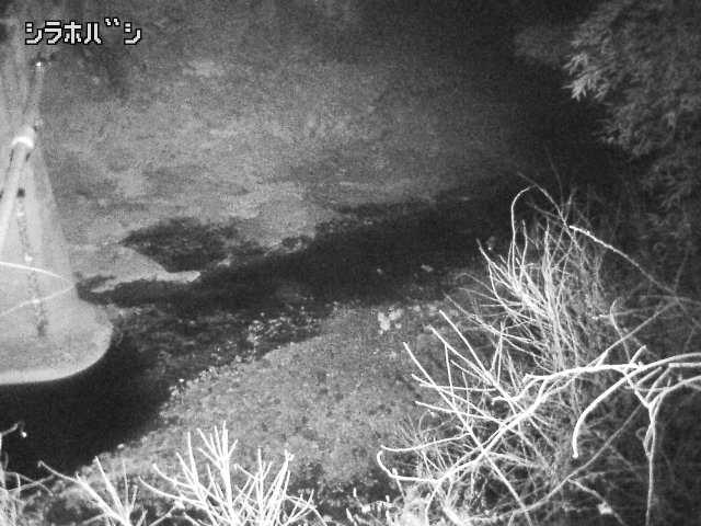 2026年03月20日21時00分の映像