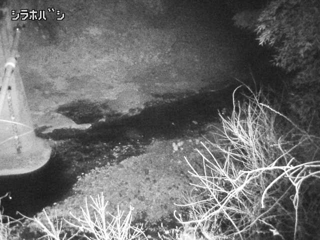 2026年03月21日03時00分の映像