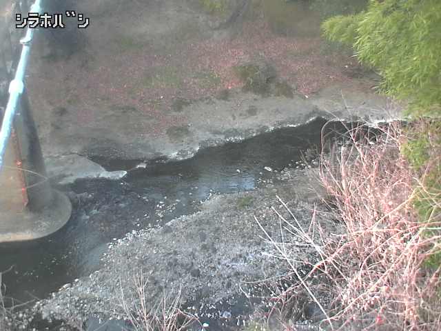 2026年03月21日06時00分の映像