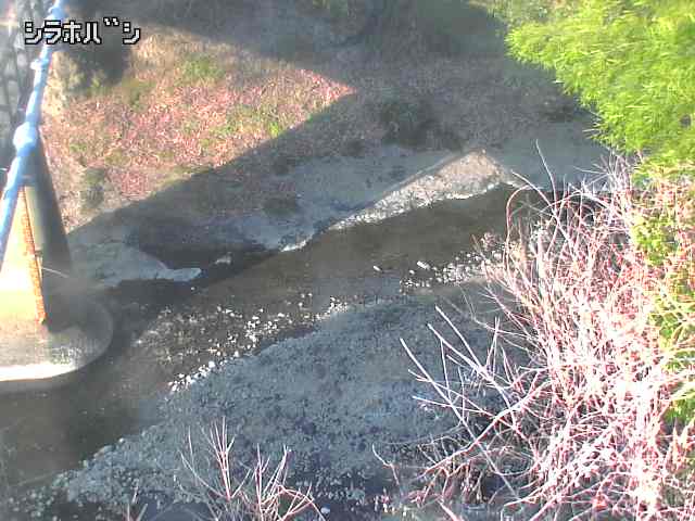 2026年03月21日07時00分の映像