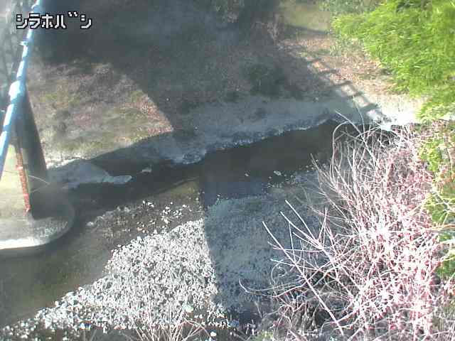 2026年03月21日08時00分の映像