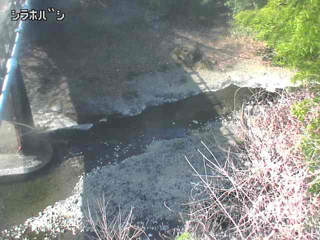 2026年03月21日09時00分の映像