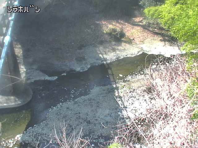 2026年03月21日10時00分の映像