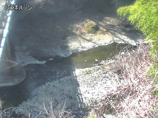 2026年03月21日11時00分の映像