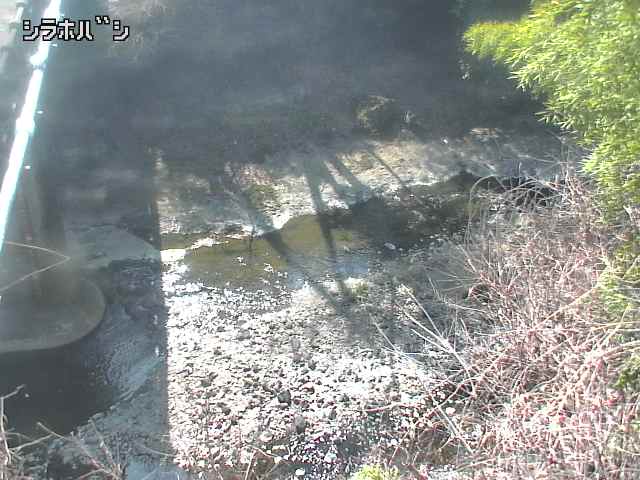 2026年03月21日13時00分の映像