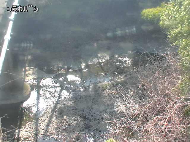 2026年03月21日14時00分の映像