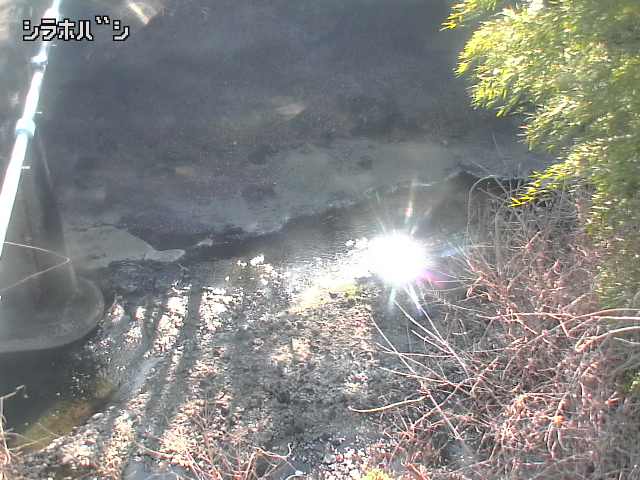 2026年03月21日15時00分の映像