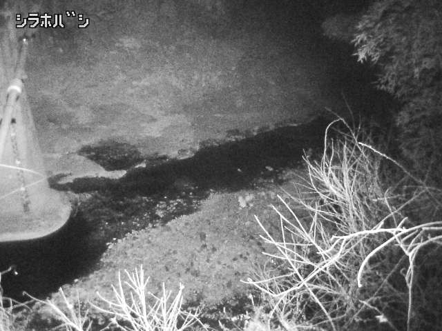 2026年03月21日19時00分の映像