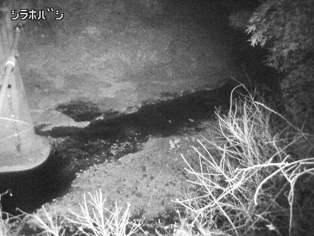 2026年03月21日20時00分の映像