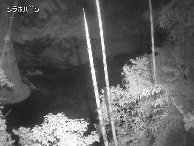 2026年05月06日19時00分の映像